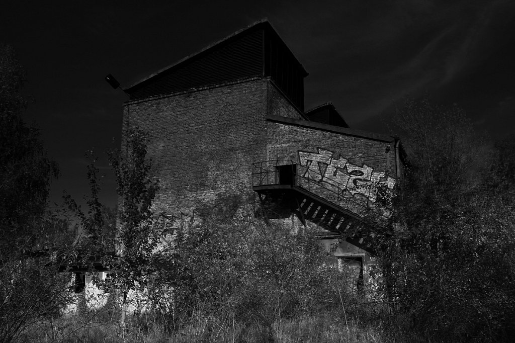 008d.jpg