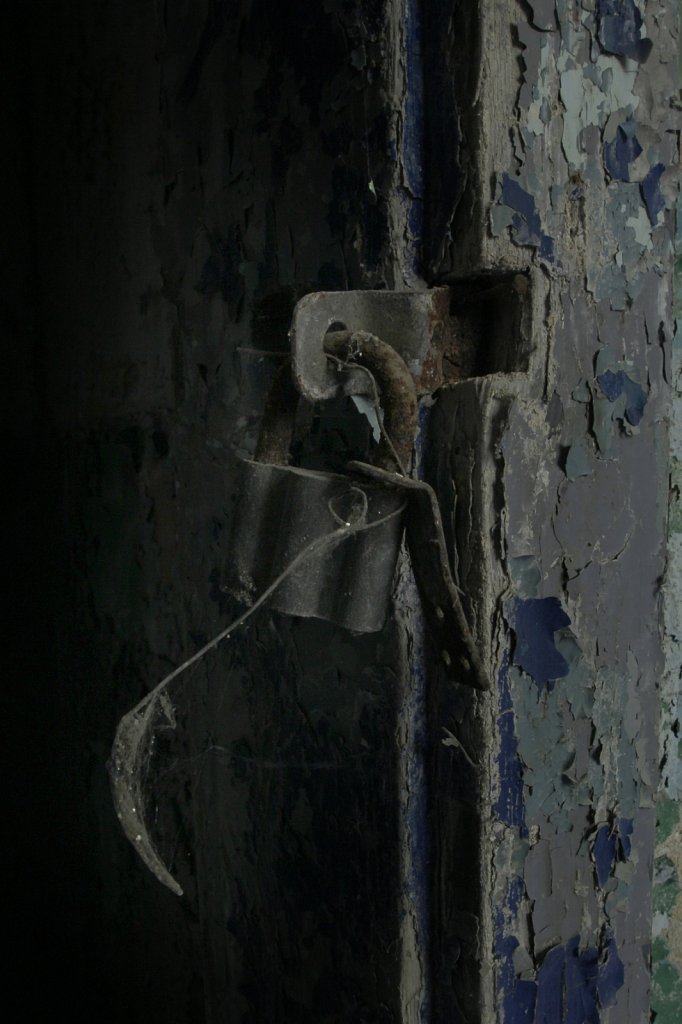MG-6999.jpg