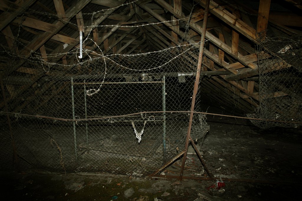 MG-6669.jpg