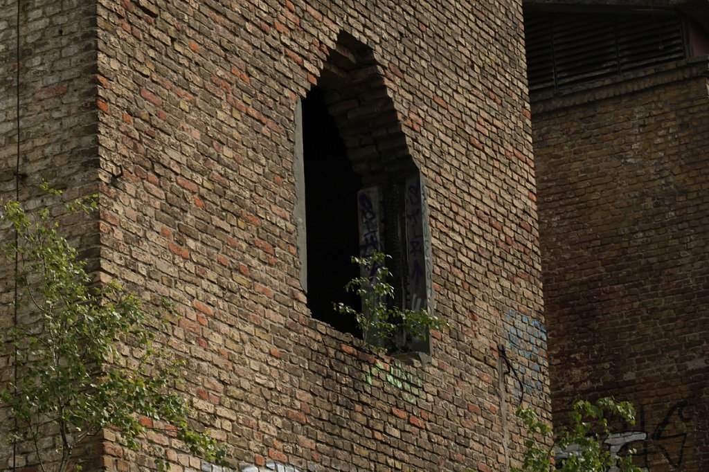 MG-9206.jpg