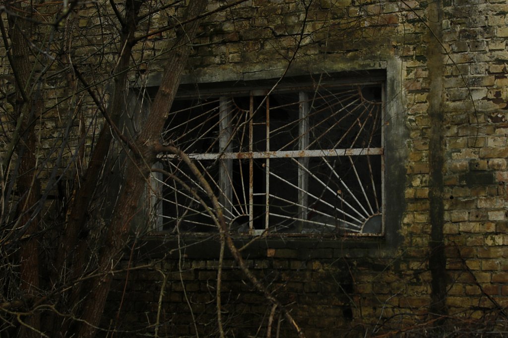 V6A3566.jpg