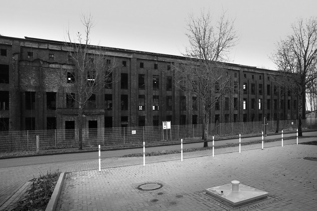 V6A3695.jpg