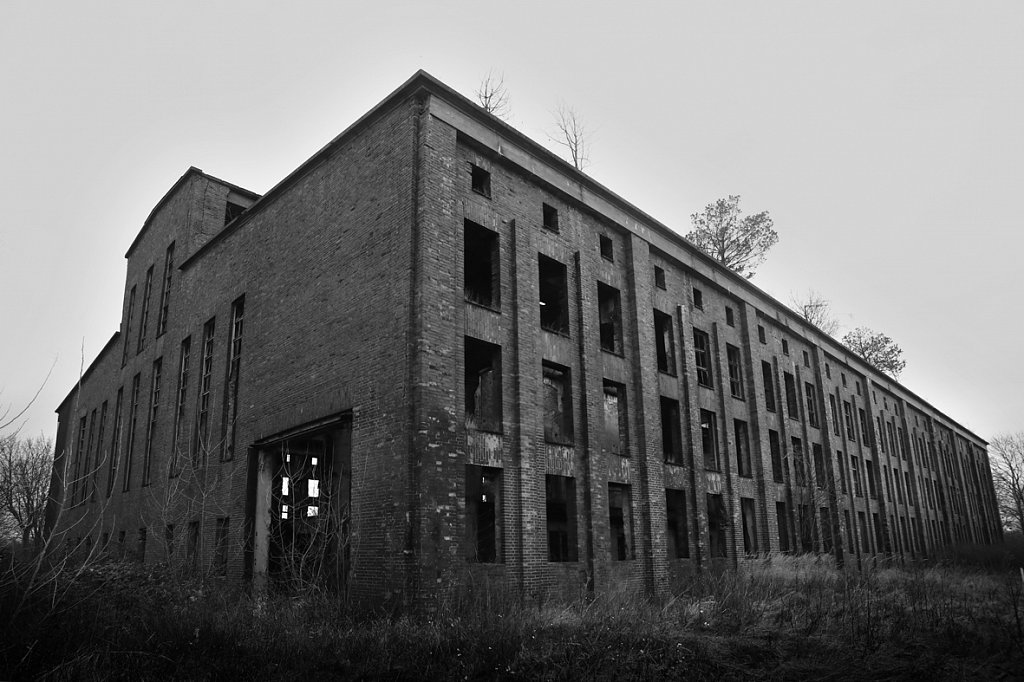 V6A3746.jpg