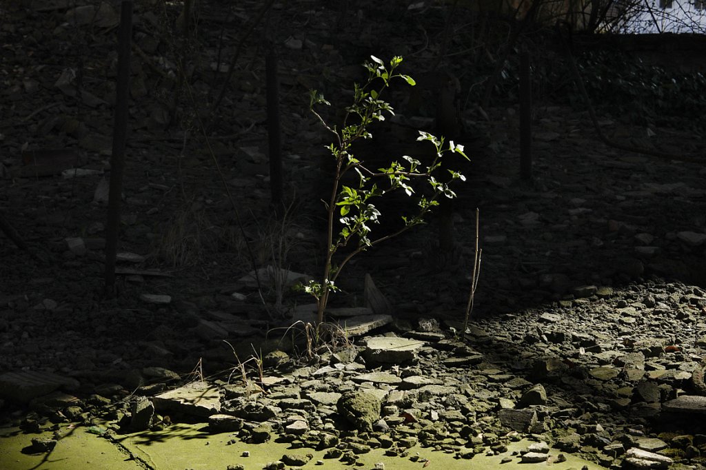 V6A5283.jpg