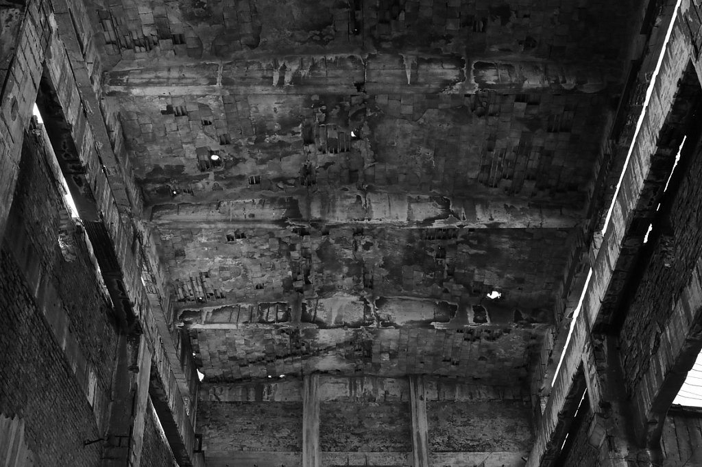 V6A5526.jpg