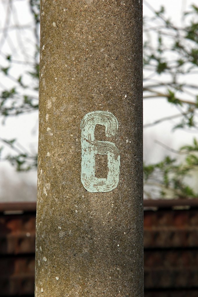 MG-1396.jpg