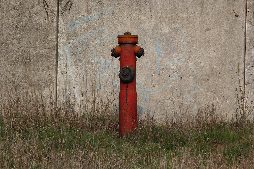 MG-1464.jpg