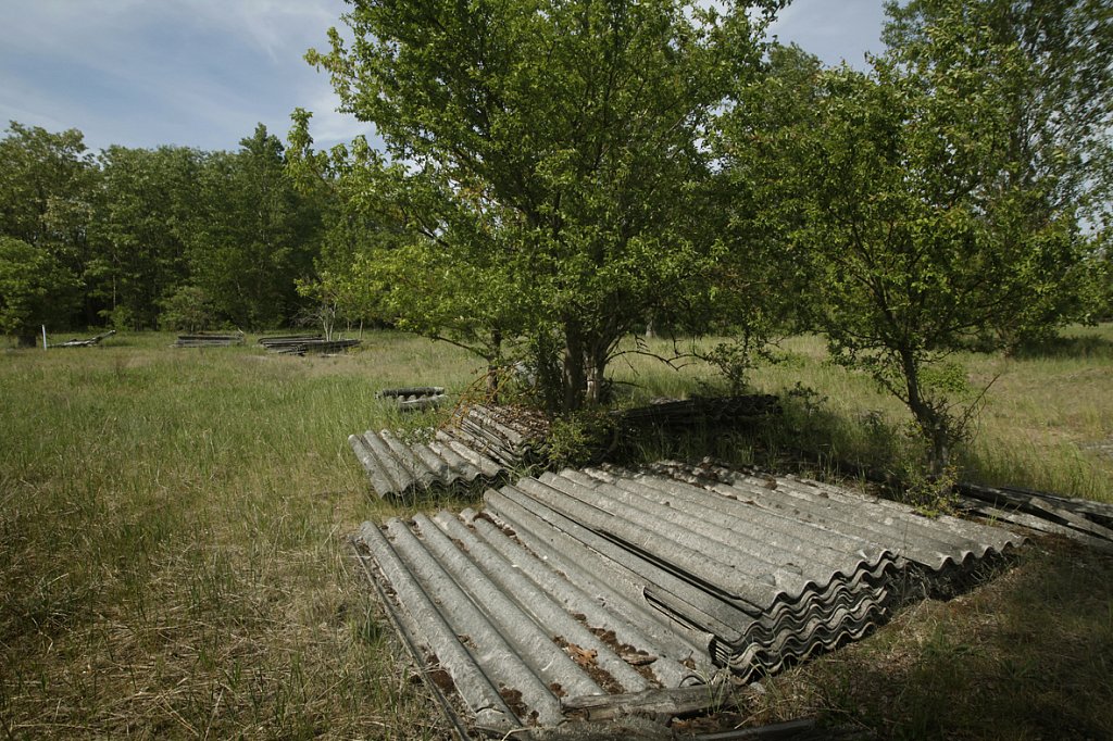 MG-9231.jpg