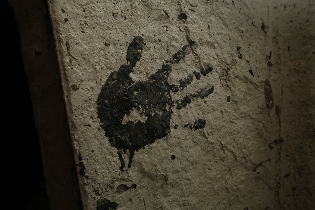 MG-9254.jpg