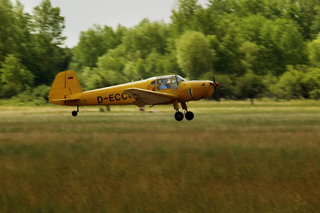 MG-9392.jpg