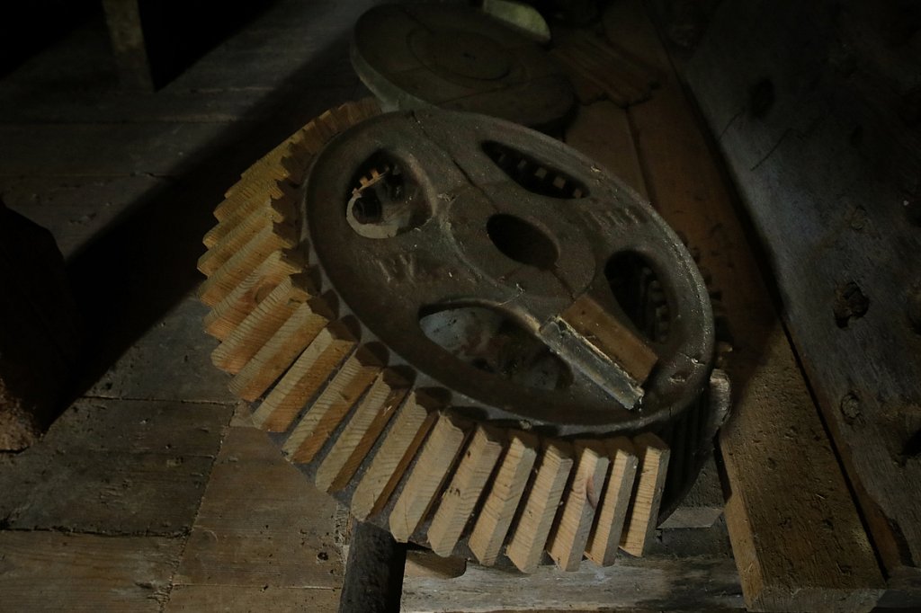 V6A1499.jpg