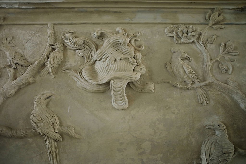 V6A6537.jpg